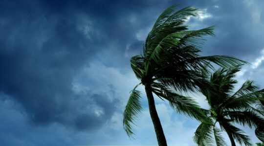 tropical-storm