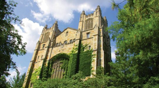 Higher education